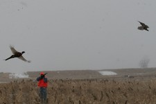 Brian Kinchen at the NFL hunt.